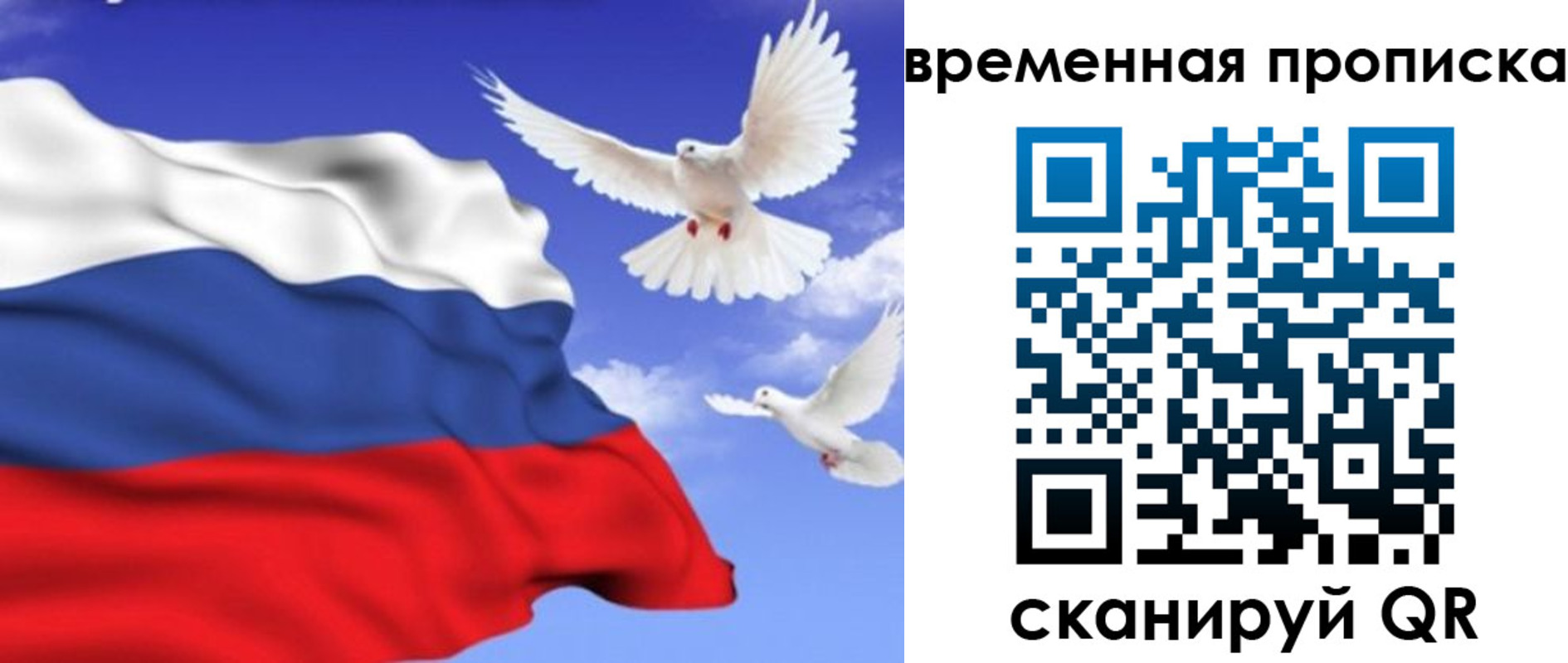 найти адрес прописки в Курске